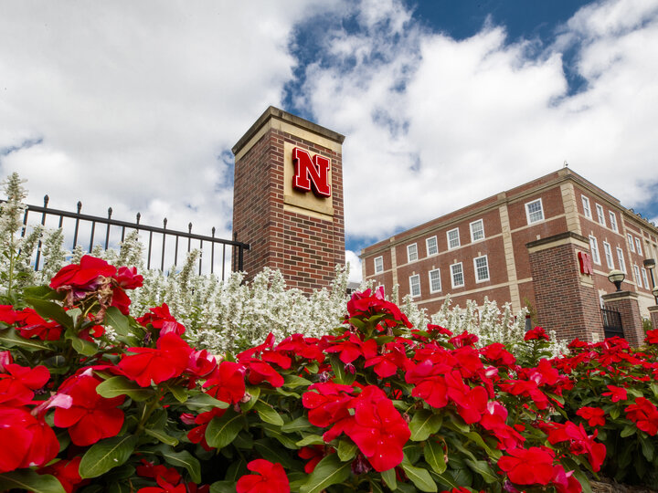 Red flowers line the City Campus entrance gateway