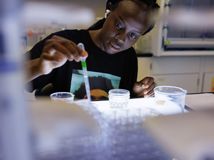 Riada Riyangow, an incoming freshman from Lincoln, who plans to study biology, works in Professor Clay Cressler’s lab.