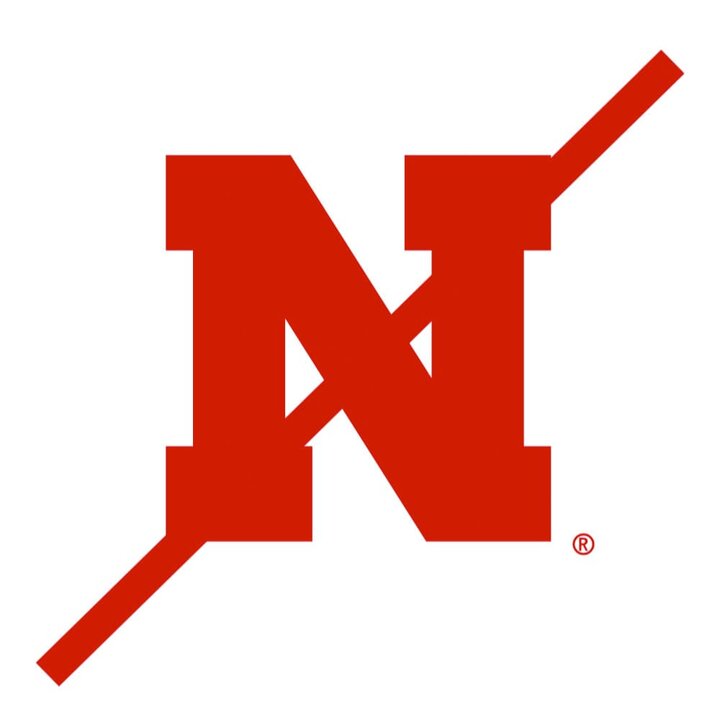 N logo with no outline and red strike thru line